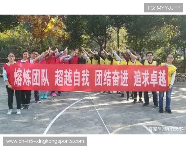 稳定发挥源自团队协同（499 ）