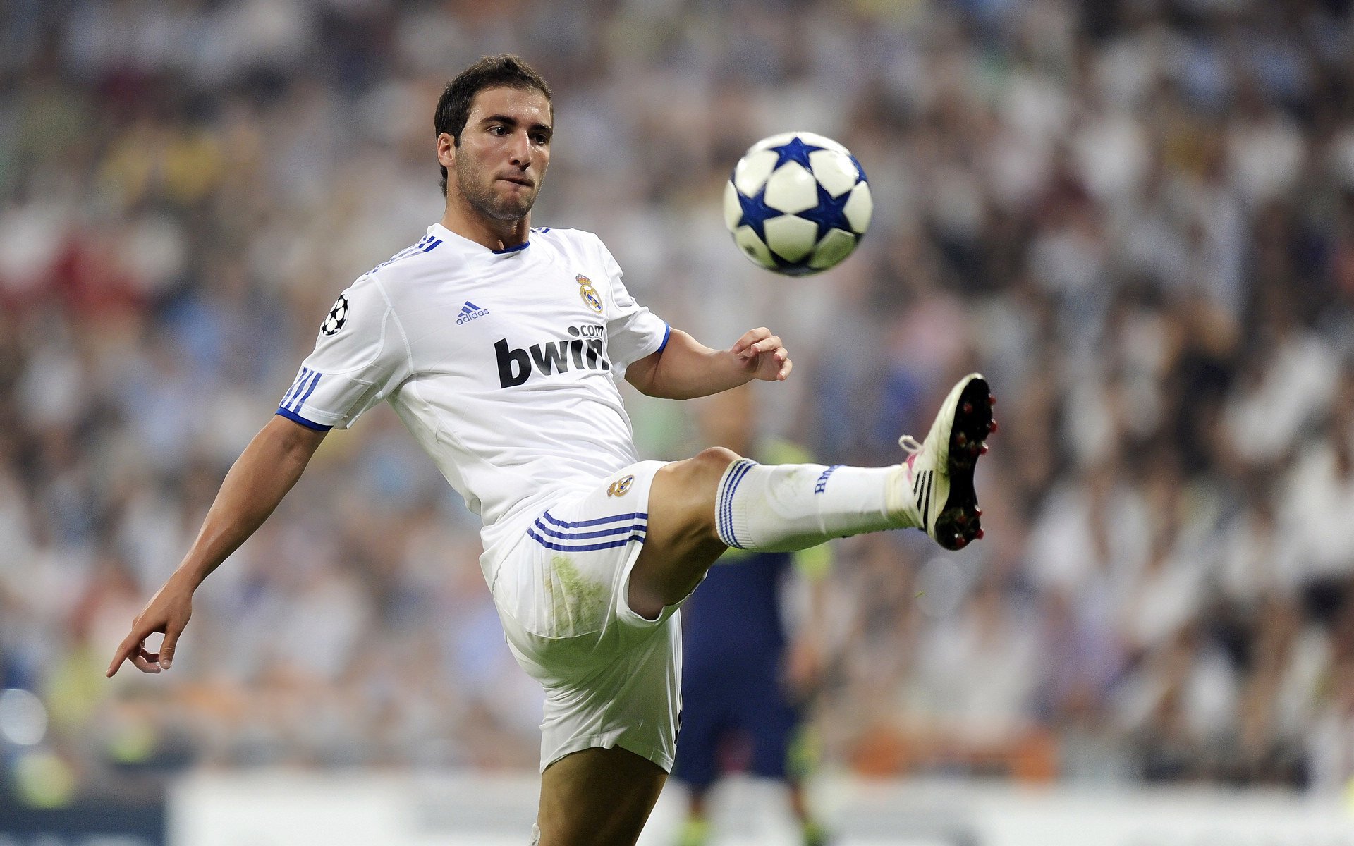 xingkong.com-“霍斯特的突破性发挥，带领南非羚羊队横扫对手”